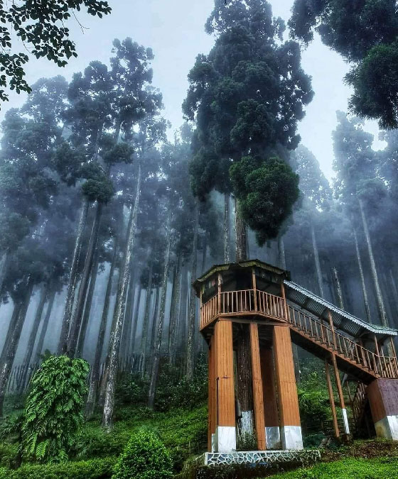 About North Sikkim Sharing