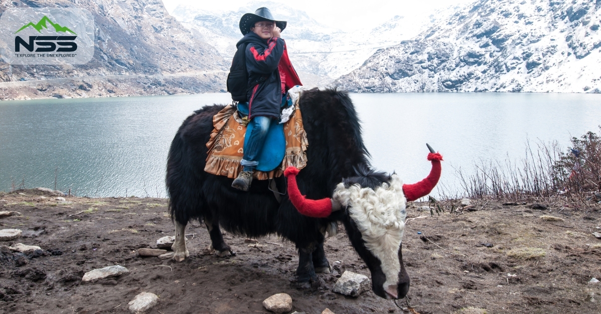 East Sikkim for Solo Travelers: The Complete Guide to Exploring the Hidden Himalayas