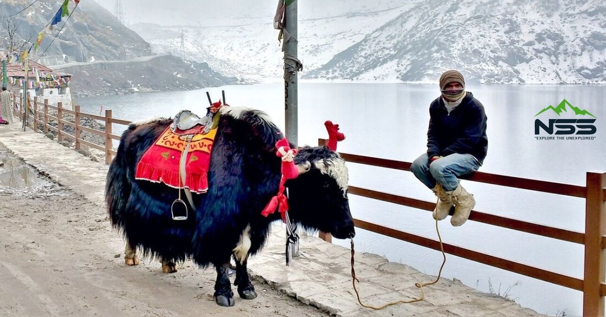 Nathula Pass Tour Starting Rs. 999/-